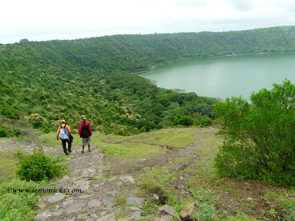 Lonar @lemonicks.com