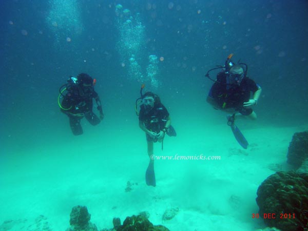 underwater @lemonicks.com